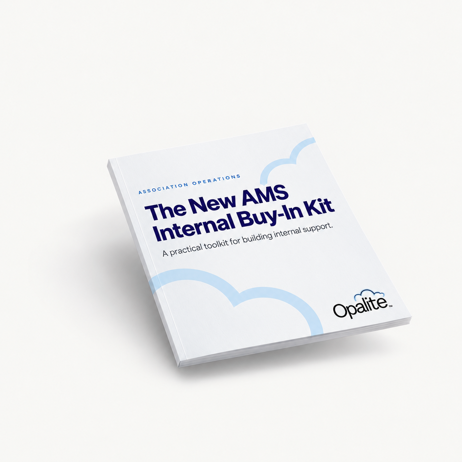 Cover of The New AMS Internal Buy-In Kit by Opalite.